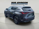 2025 Lexus NX NX 350