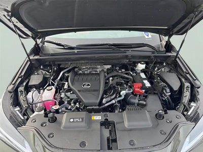 2025 Lexus NX 350 AWD