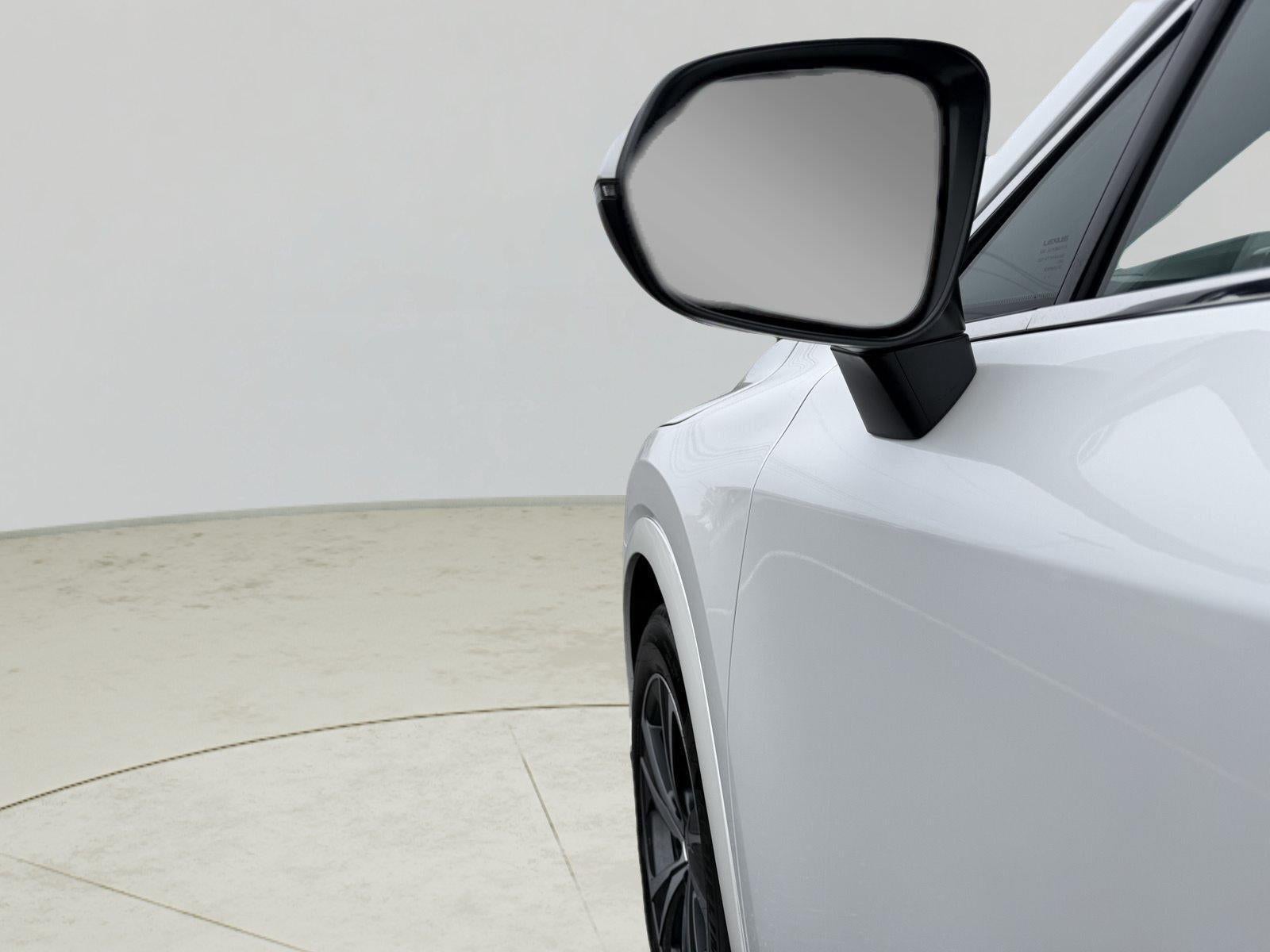 2025 Lexus RX 350 RX 350