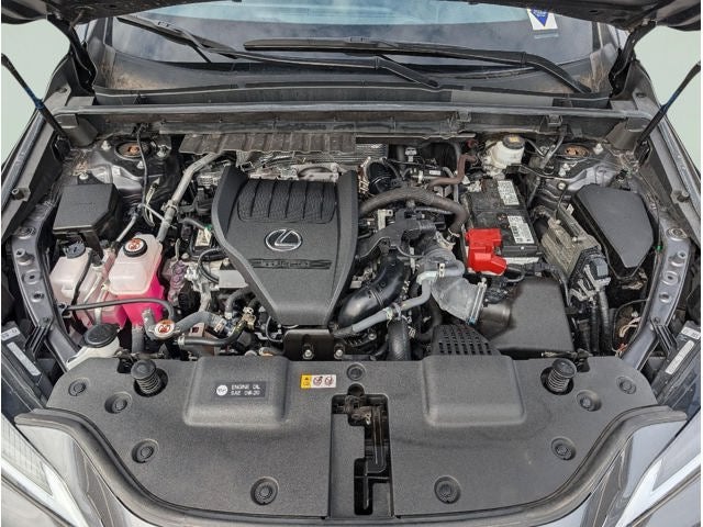 2023 Lexus NX NX 350 AWD