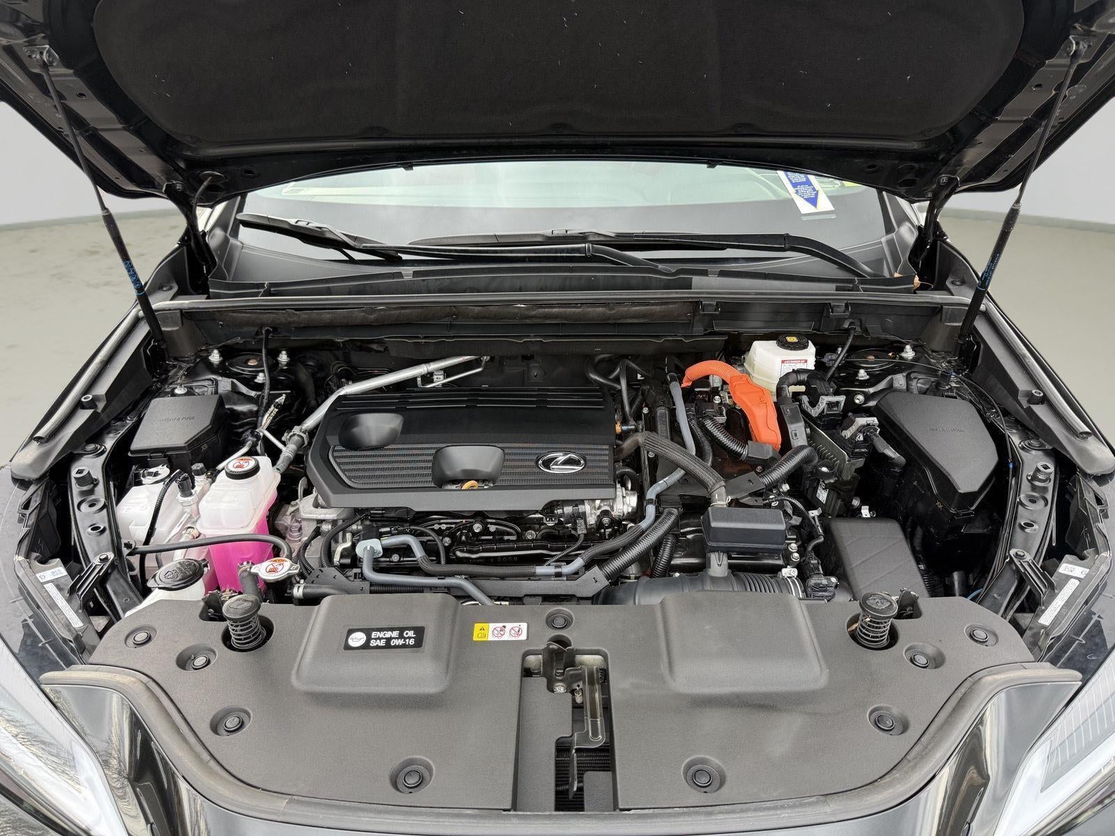 2025 Lexus NX 350h Premium