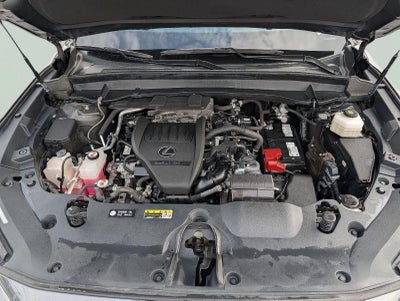 2024 Lexus TX 350 Premium