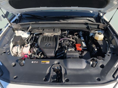 2025 Lexus TX 350 PREMIUM AWD
