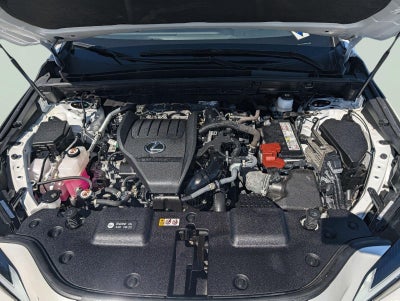2024 Lexus NX 350 NX 350