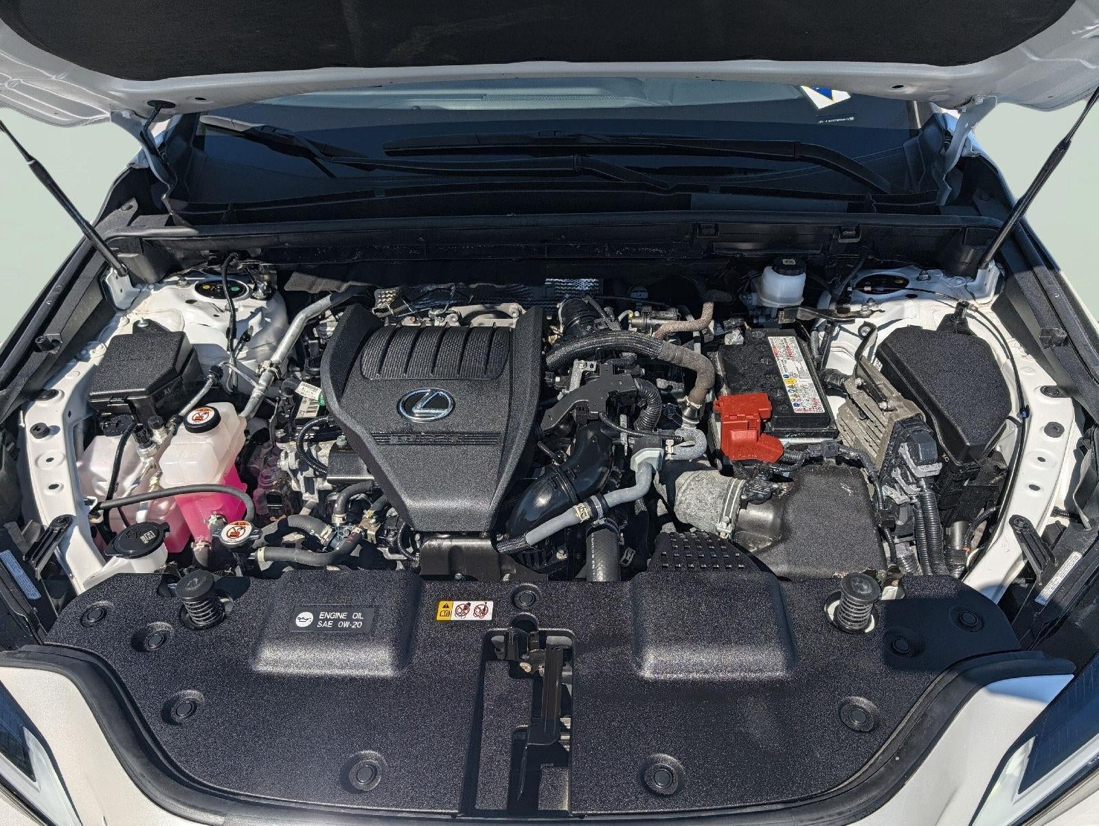 2024 Lexus NX 350 NX 350