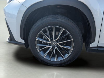 2024 Lexus NX 350 NX 350