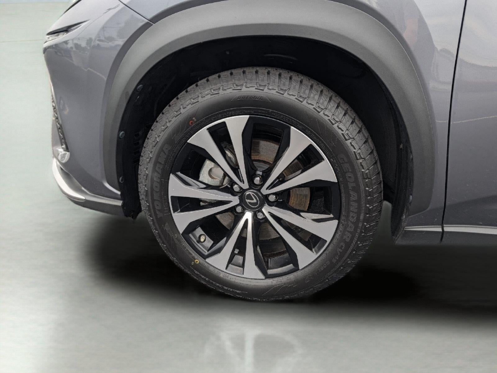 2021 Lexus Nx 300 F SPORT