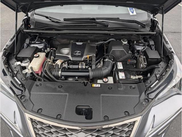 2021 Lexus Nx 300 F SPORT